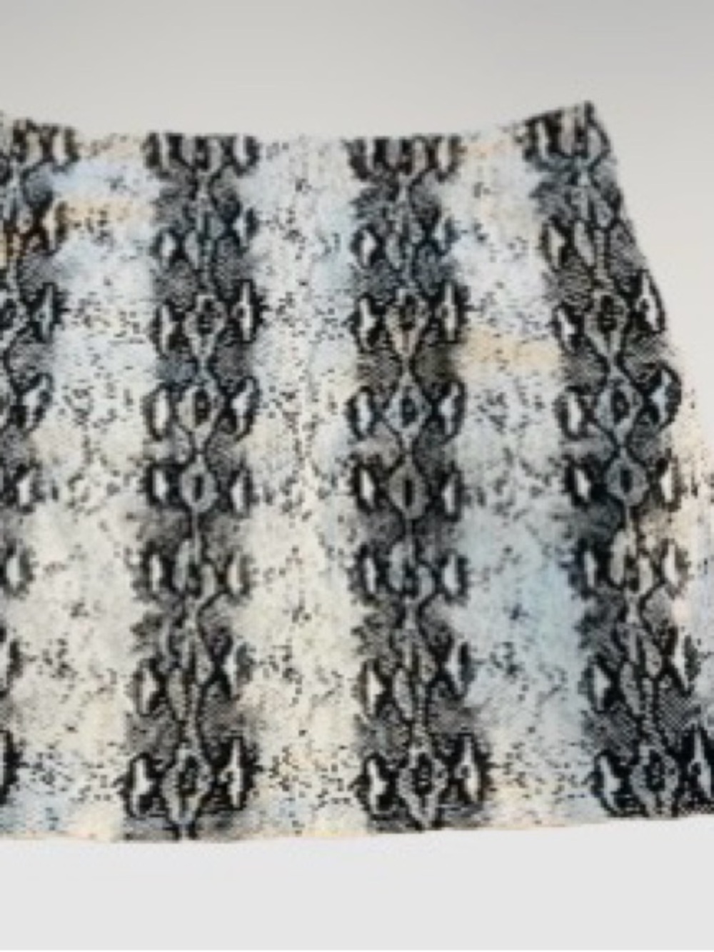 NWOT Snake Print Skirt in Black and White